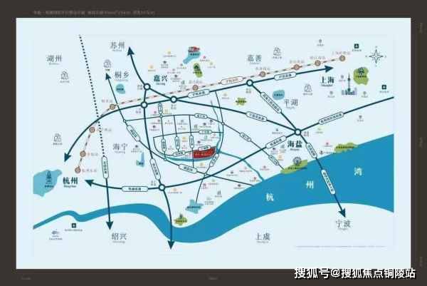 重楼最新市场收购价格分析