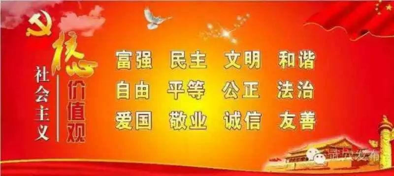 马兰花开最新一期2017，绽放的激情与未来的呼唤