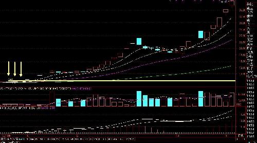 四川双马停牌最新消息深度解析