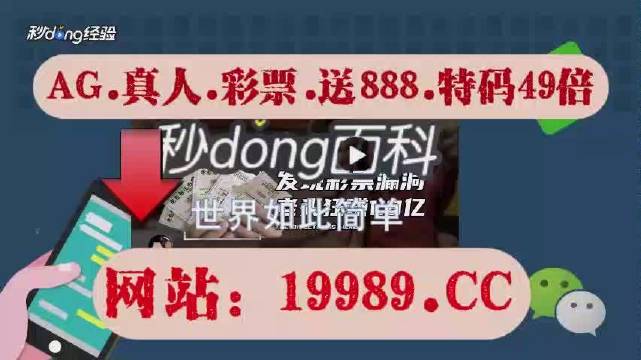 2024澳门天天六开彩免费资料|质性释义解释落实