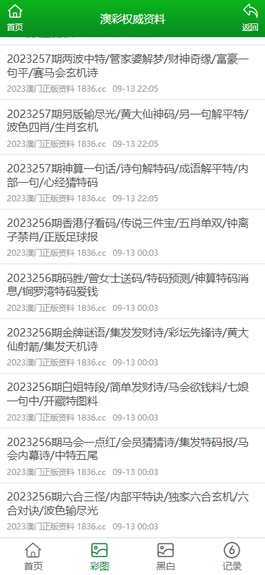 2024新澳门正版资料免费大全,福彩公益网|心智释义解释落实