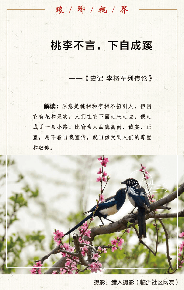 桃李无言下自成蹊最新