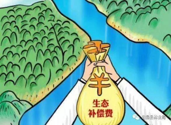 生态政策最新