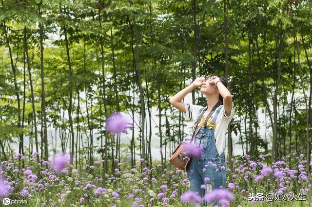 蒙芽最新，探索未知，绽放新生