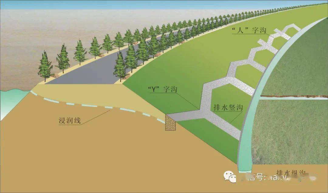 堤防最新研究进展及其未来展望