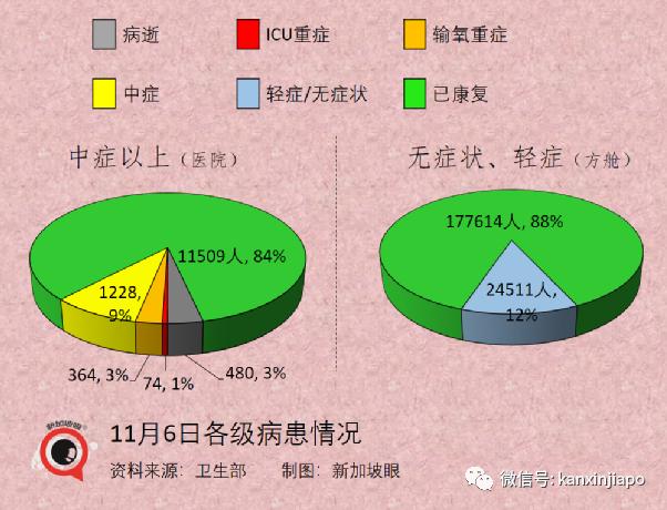 冠病最新动态，全球视野下的疫情进展与应对策略