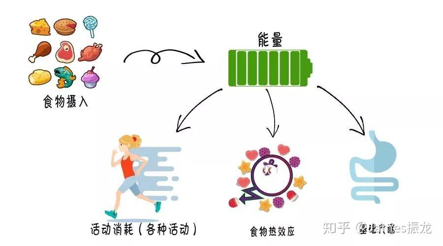 减脂最新方法与策略，探索高效、健康的减重途径