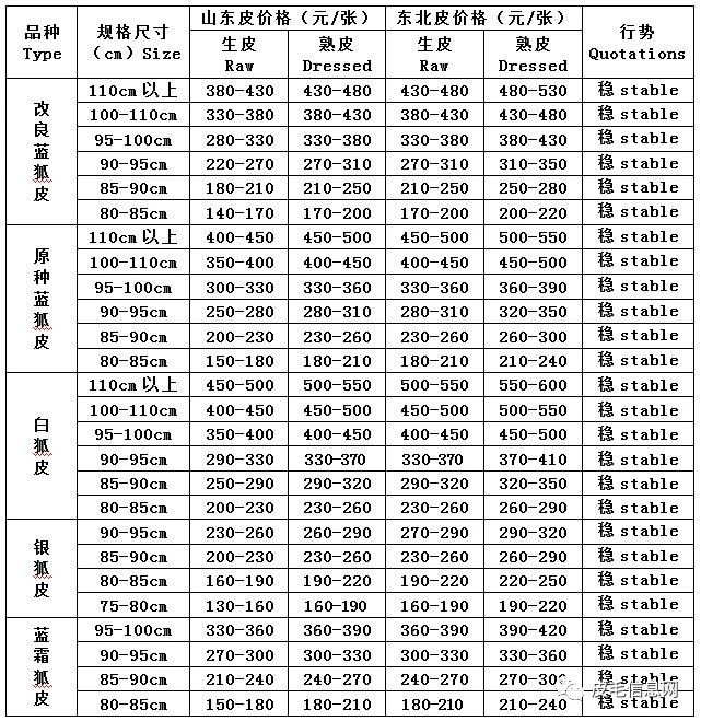 最新貉子行情分析