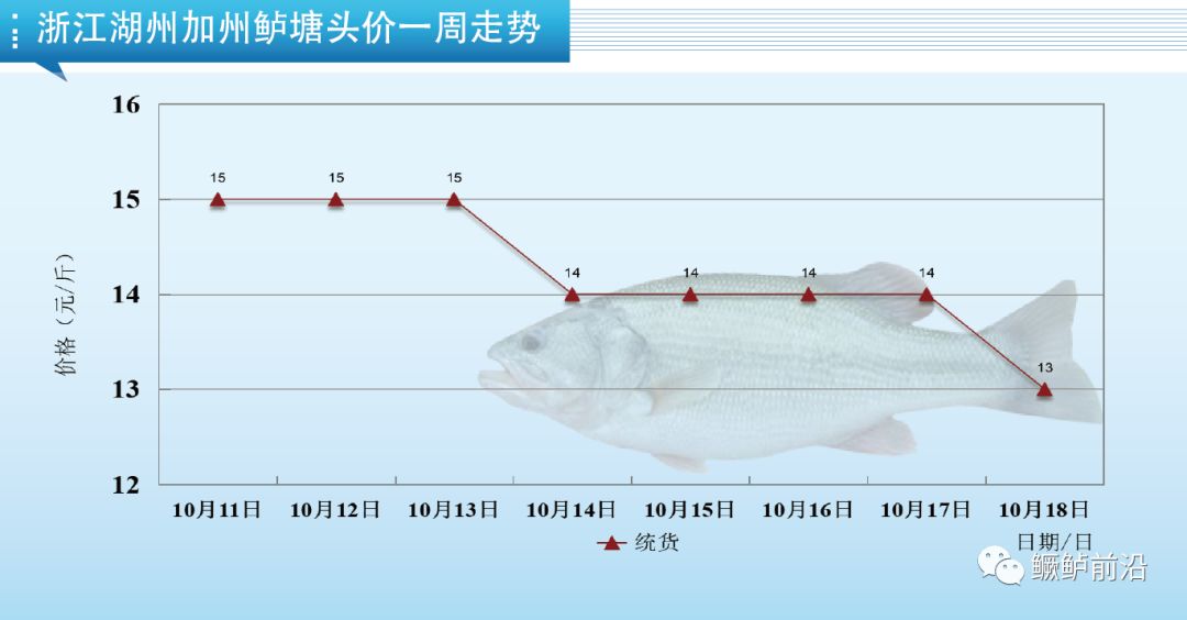 鱼最新报价——市场走势与消费者关注焦点