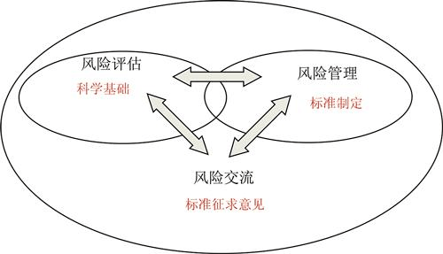 最新跳风险，挑战与应对策略