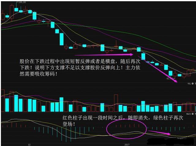 最新股公式及其应用，探索股市分析的新领域