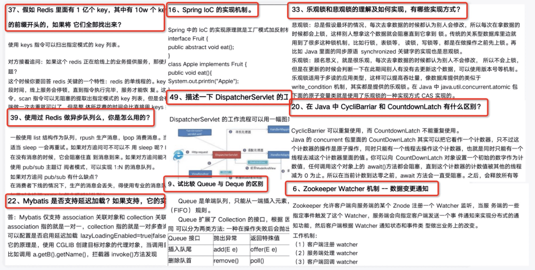 香港免费大全资料大全，精选解释解析落实的重要性