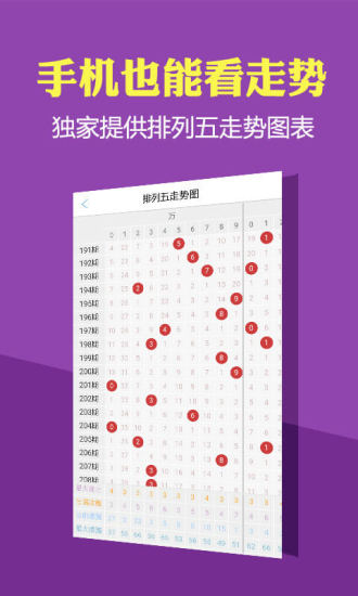 2024年香港历史开奖结果查询表最新，精选解析与查询落实攻略