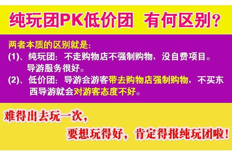 新澳好彩天天免费资料与精选解析落实，揭示背后的风险与挑战