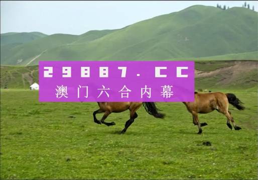 经验丰富 第146页