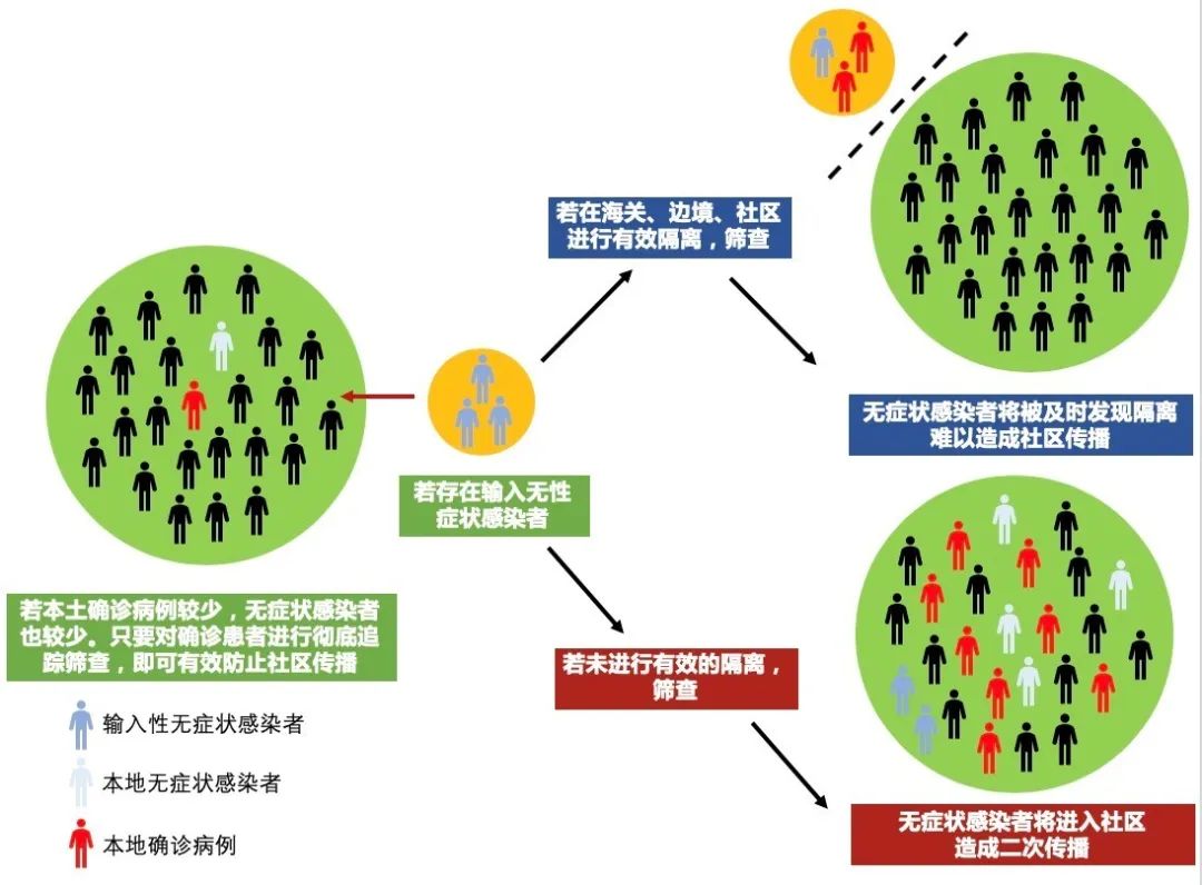 最新疫情起因深度解析