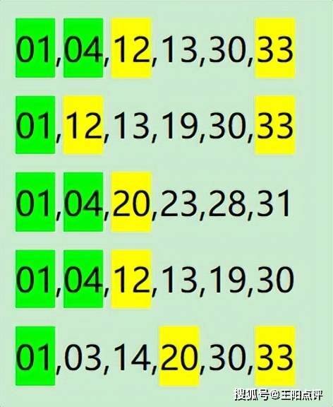 精准跑狗图解析，探索数字背后的秘密与策略应用