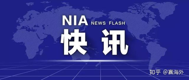 澳门九点半9点半网站，精选解释解析与落实的探讨——揭示背后的犯罪问题