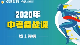 新奥天天正版资料大全，精选解释解析落实